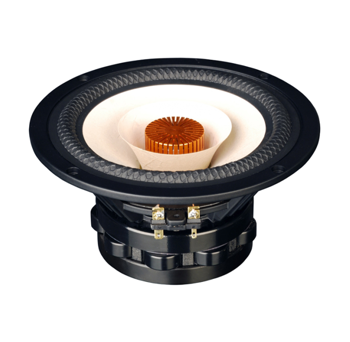 Tang Band W6-1916